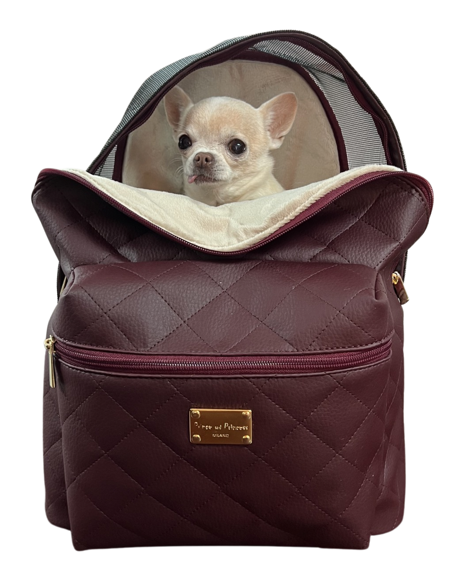 Leather 2024 dog backpack