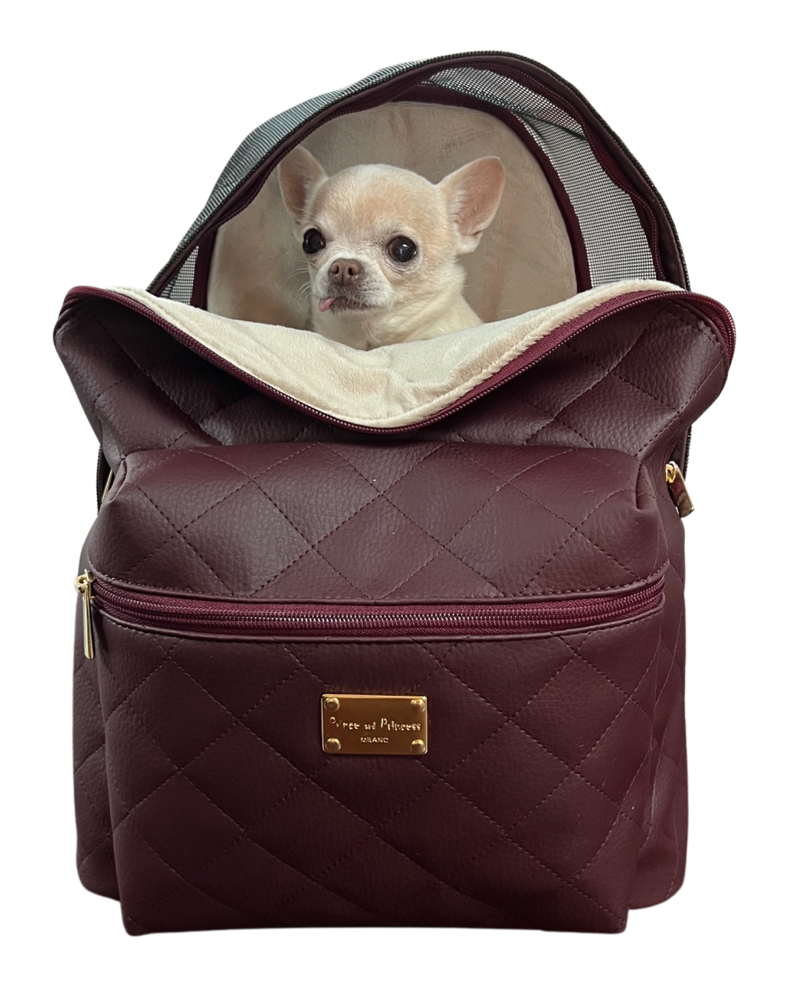Leather clearance dog backpack