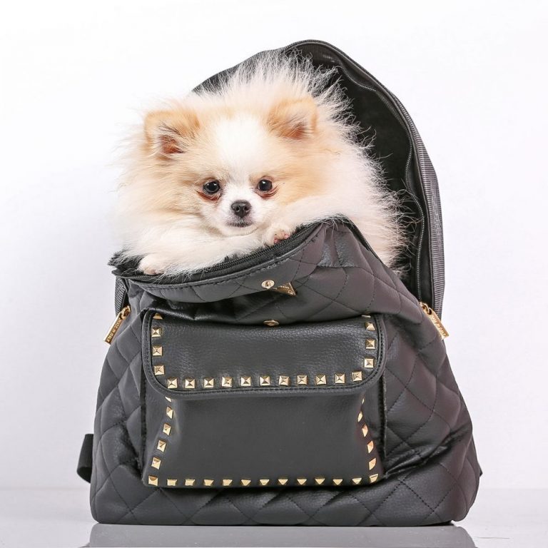 Leather clearance dog backpack