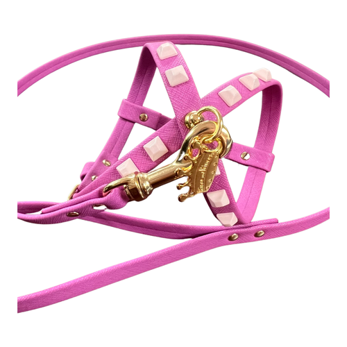 Harnesses and Leash Sets