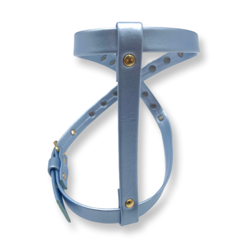 Fashion Dog Harness and Chain Leash Set - Blue with Heart Studs