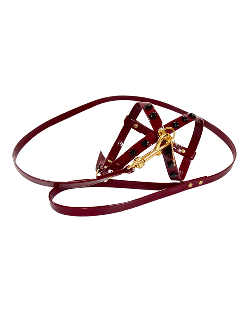 Fashion Dog Harness and Plain Leash Set -Burgundy with Black Star Studs