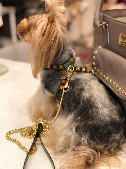 Puppy Harness Louis Vuitton 
