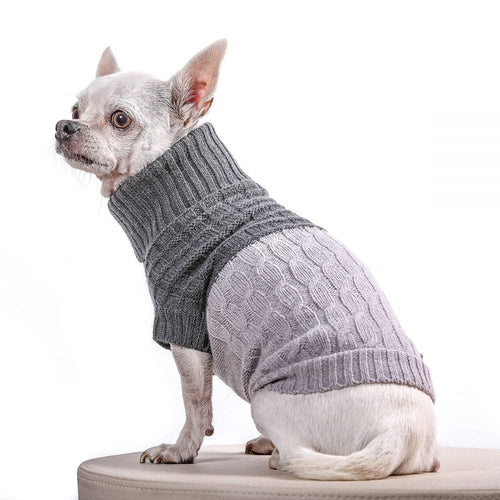 Grey-dog-sweater-prince-and-princess