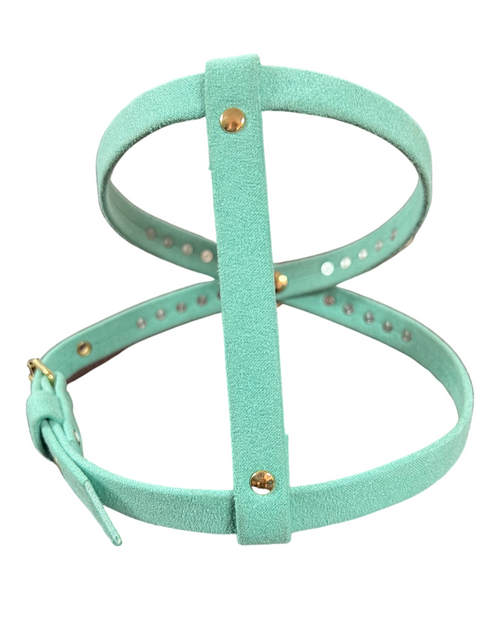 Tiffany Blue Designer Dog Harness